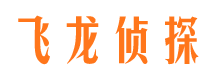 浮山侦探